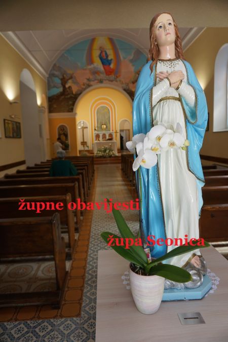 Read more:  ŽUPA SEONICA, OBAVIJESTI  20. nedjelja kroz godinu