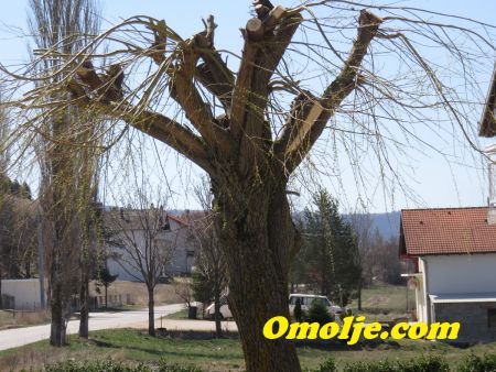 Read more: Kašinoj ljepotici promijenili frizuru
