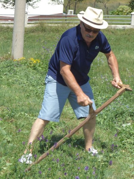 Read more: Jednom kosac uvijek kosac