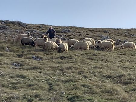 Read more: Predvečerje, Križe i stado na ispaši