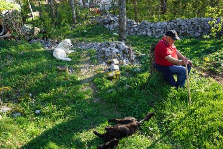 Read more: U čobaniji  sa Križom