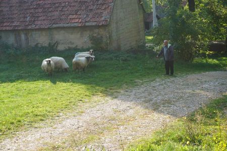Read more: Križe i njegovo blago
