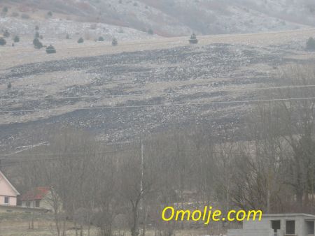 Read more: Jutro nakon požara iznad Omolja
