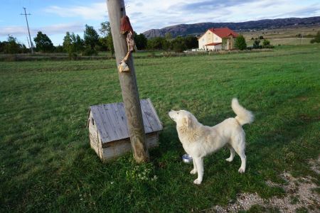 Read more: Bigo proslavio drugi rođendan