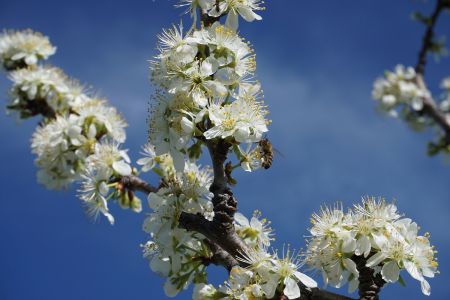 Read more: Napokon je stiglo proljeće
