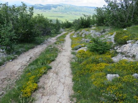 Read more: Skitam se i snimam, 
