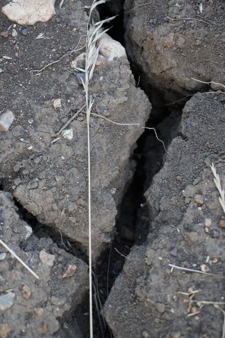 Read more: Oće li biti kiše, vapi raspucala duvanjska zemlja