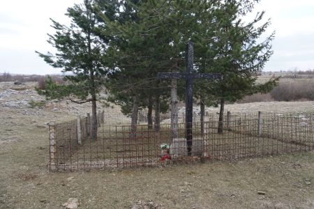 gallery1