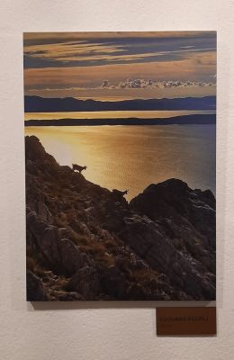 gallery1