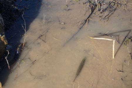 gallery1