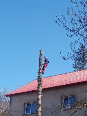 gallery1