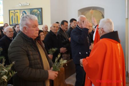 gallery1
