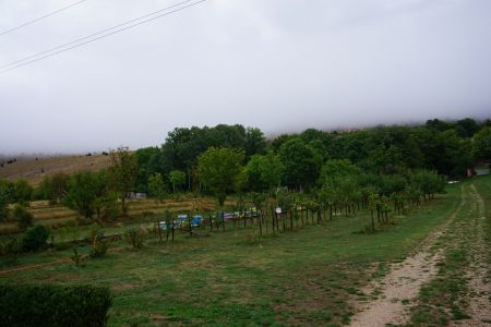 gallery1
