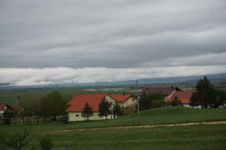 gallery1