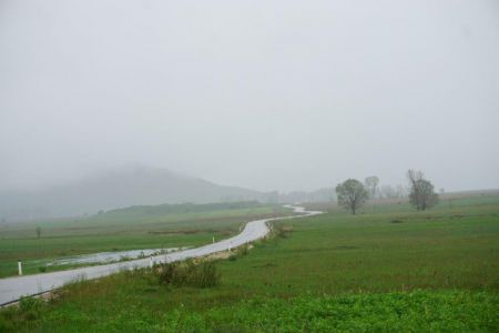 gallery1