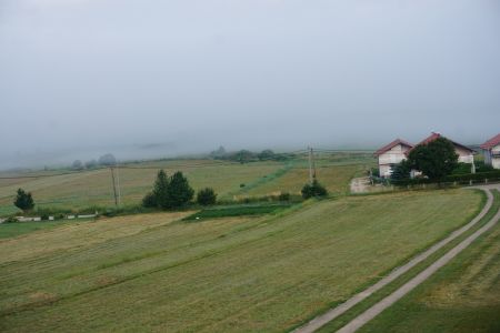 gallery1