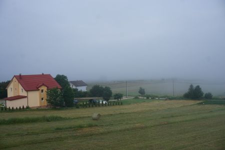 gallery1