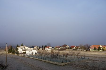 gallery1