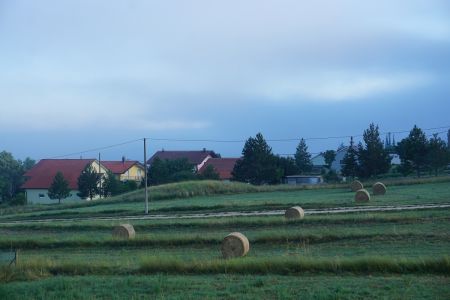 gallery1