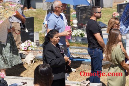 gallery1