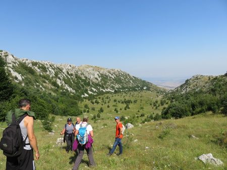 gallery1