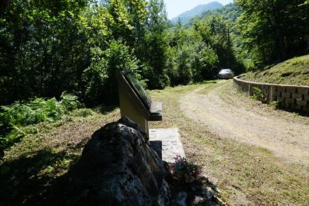 gallery1