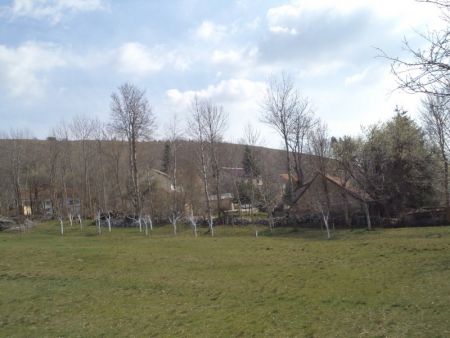 gallery1