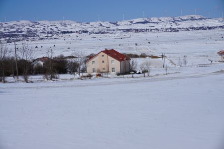 gallery1