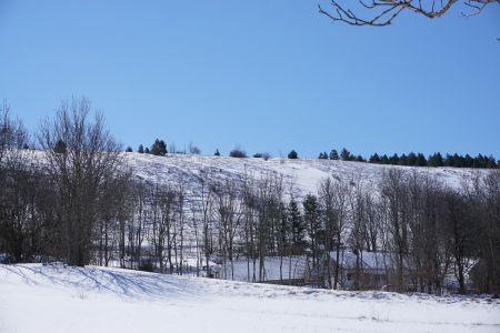 gallery1