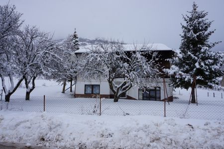 gallery1