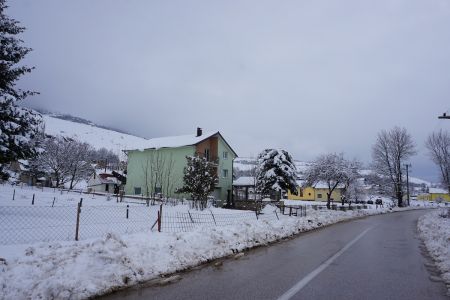 gallery1