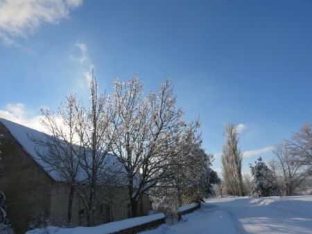 gallery1