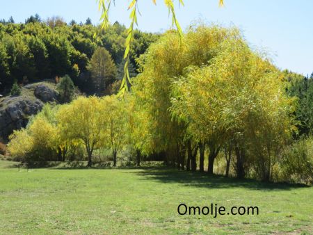 gallery1