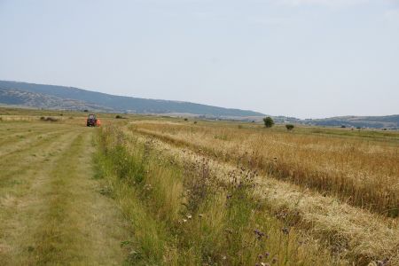 gallery1