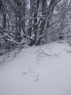 gallery1