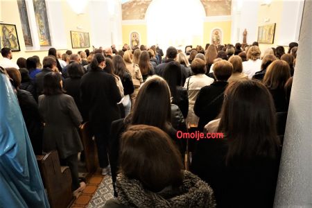 gallery1