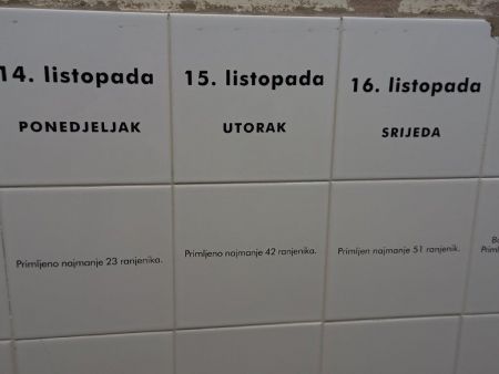 gallery1