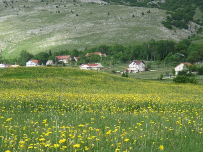 mt