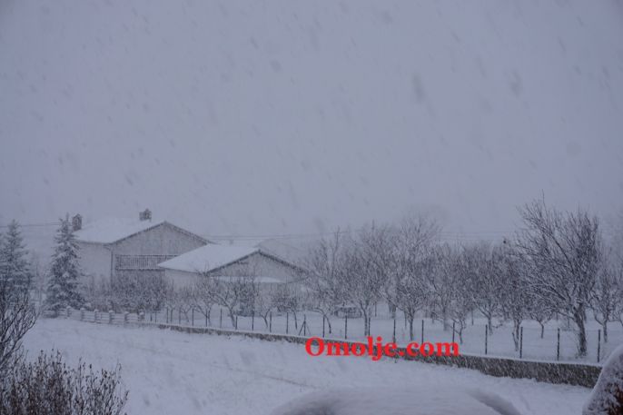 DSC00490