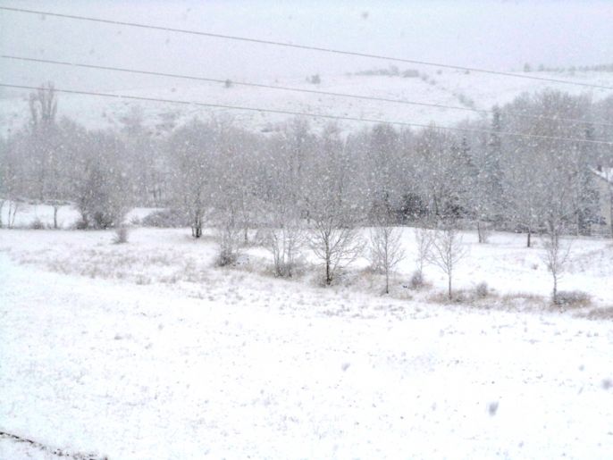 DSC00513
